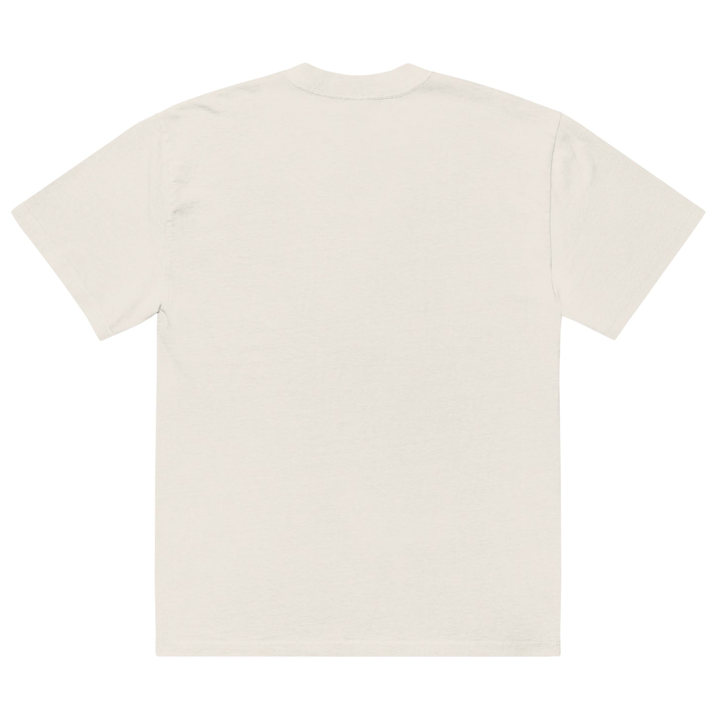 OG Oversized faded t-shirt